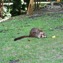 фото из отзыва ID 878071