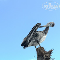 фото из отзыва ID 878071