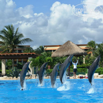 фото из отзыва ID 878071