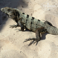 фото из отзыва ID 878071