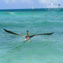 фото из отзыва ID 878071