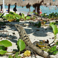 фото из отзыва ID 878071