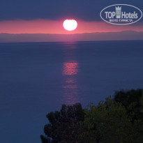 фото из отзыва ID 879194