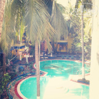 фото из отзыва ID 879229