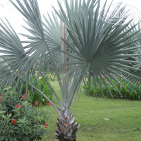 фото из отзыва ID 879283