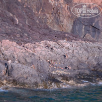 фото из отзыва ID 879390