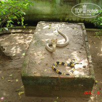 фото из отзыва ID 879573