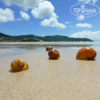 фото из отзыва ID 879846