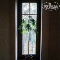 фото из отзыва ID 879853