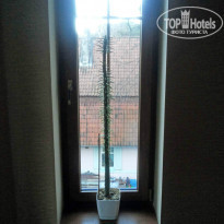 фото из отзыва ID 879853