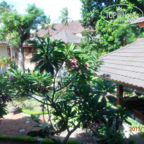 фото из отзыва ID 879913