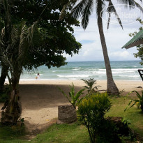 фото из отзыва ID 879925