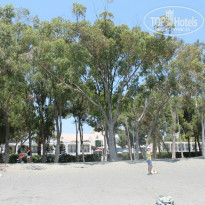 фото из отзыва ID 879972