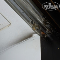 фото из отзыва ID 879987