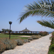 фото из отзыва ID 88096