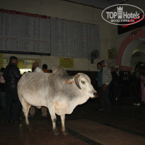 фото из отзыва ID 880019