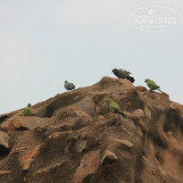 фото из отзыва ID 880019