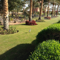 фото из отзыва ID 880047