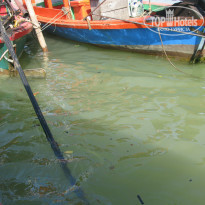 фото из отзыва ID 880109