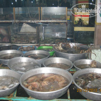 фото из отзыва ID 880248