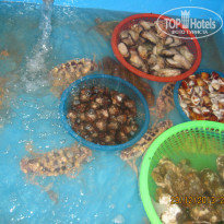 фото из отзыва ID 880248