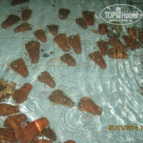 фото из отзыва ID 880248