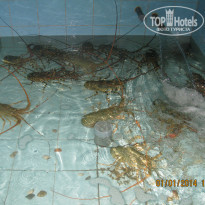 фото из отзыва ID 880248