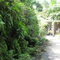 фото из отзыва ID 880248