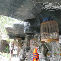 фото из отзыва ID 880248