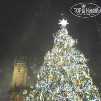 фото из отзыва ID 880291