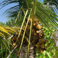 фото из отзыва ID 880493