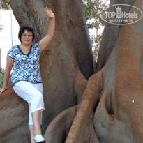 фото из отзыва ID 880517