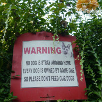 фото из отзыва ID 880617