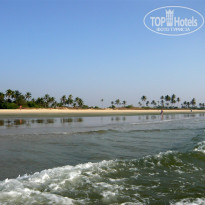 фото из отзыва ID 880617