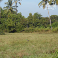 фото из отзыва ID 880617