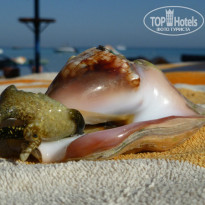 фото из отзыва ID 880636