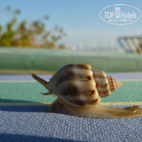 фото из отзыва ID 880636