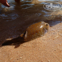 фото из отзыва ID 880636