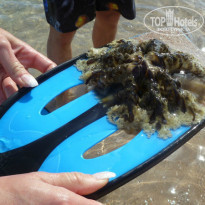 фото из отзыва ID 880636