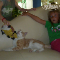 фото из отзыва ID 880636