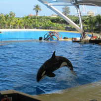 фото из отзыва ID 880713