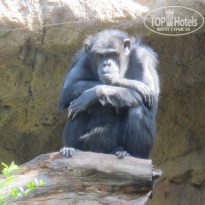 фото из отзыва ID 880713