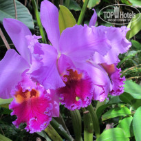 фото из отзыва ID 880713