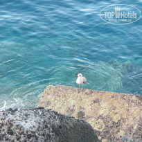 фото из отзыва ID 880713