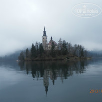 фото из отзыва ID 880729