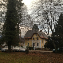 фото из отзыва ID 880729