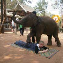 фото из отзыва ID 880740