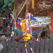 фото из отзыва ID 880785