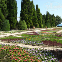 фото из отзыва ID 880983