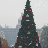 фото из отзыва ID 880959